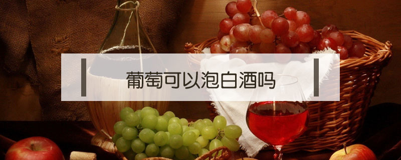 葡萄可以泡白酒嗎