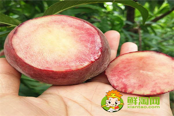 冬桃什么時候成熟，常吃冬桃有哪些好處