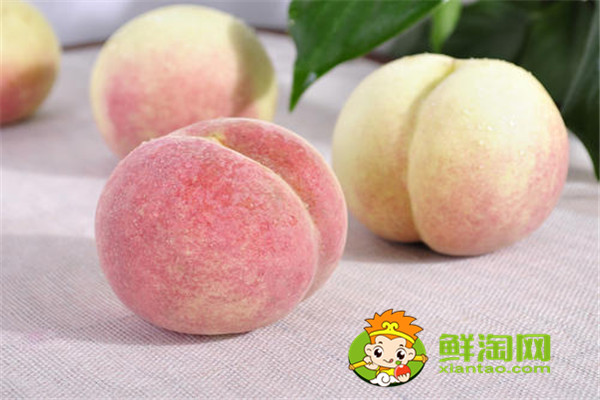 冬桃好吃嗎,冬桃的種植前景如何