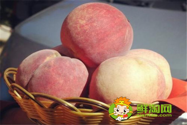 冬桃好吃嗎,冬桃的種植前景如何