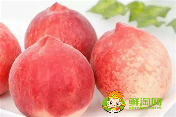 冬桃產(chǎn)地哪里的最好,冬桃和雪桃有什么區(qū)別