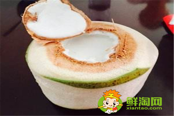 椰漿跟椰汁有什么不同，椰子什么時候成熟