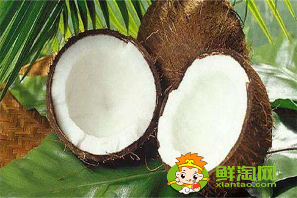 椰奶是椰汁加牛奶嗎，椰青可以和牛奶混合嗎