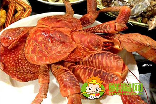 椰子蟹能吃嗎,吃椰子蟹要注意什么