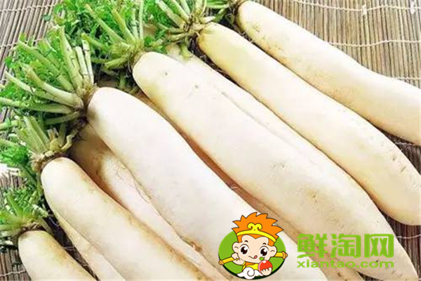 冬天種什么菜比較好，這五種蔬菜不在家中一些可惜了