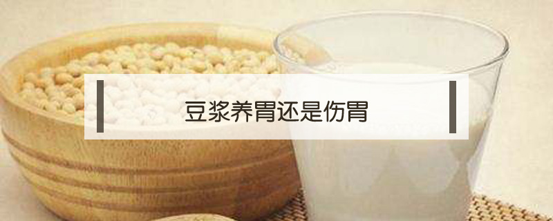 豆?jié){養(yǎng)胃還是傷胃