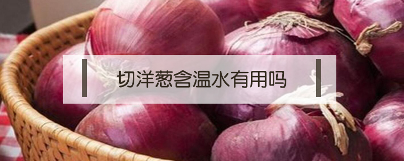 切洋蔥含溫水有用嗎