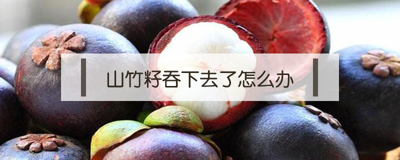 山竹籽吞下去了怎么辦