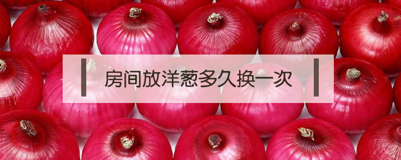 房間放洋蔥多久換一次