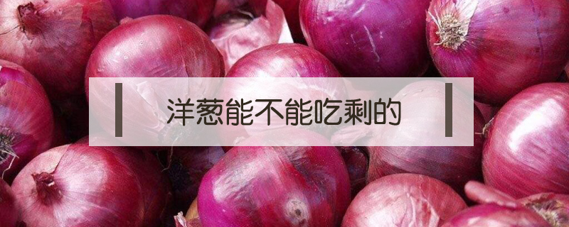 洋蔥能不能吃剩的