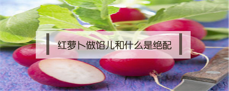 紅蘿卜做餡兒和什么是絕配