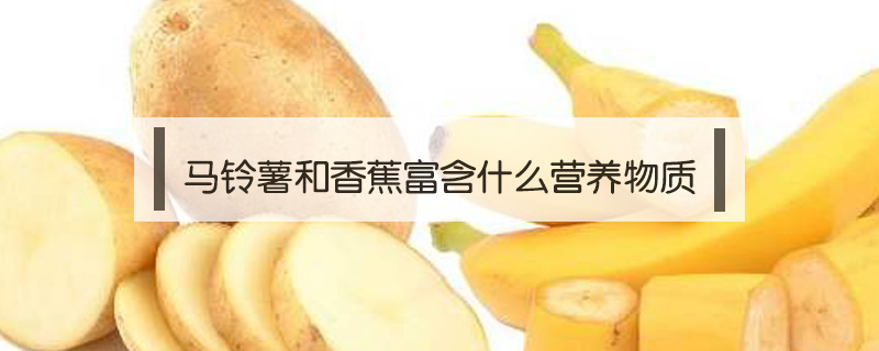 馬鈴薯和香蕉富含什么營養(yǎng)物質