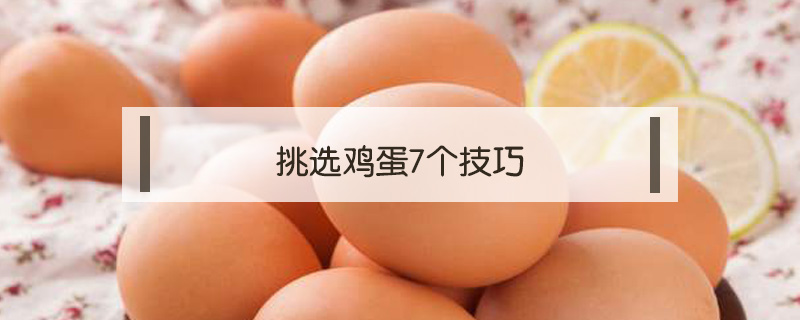 挑選雞蛋7個技巧