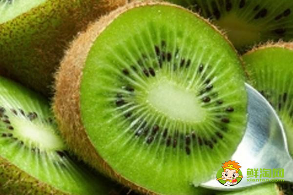 獼猴桃還沒(méi)熟就爛了什么原因，獼猴桃怎么保存