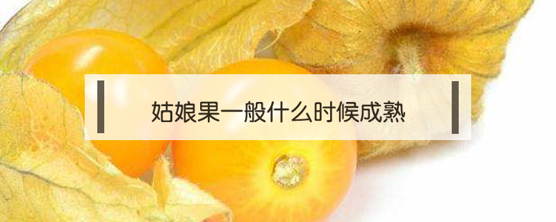 姑娘果一般什么時候成熟