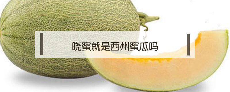 曉蜜就是西州蜜瓜嗎