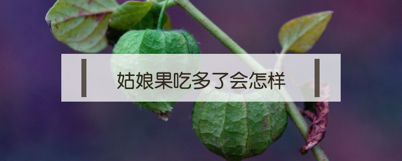 姑娘果吃多了會怎樣