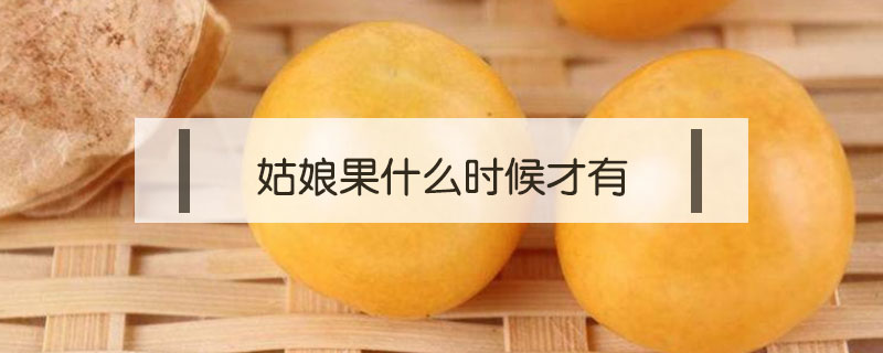 姑娘果什么時候才有