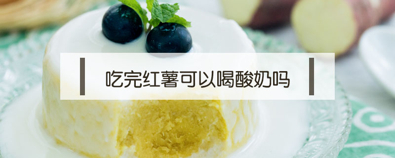 吃完紅薯可以喝酸奶嗎