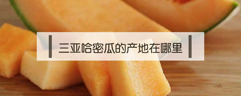 三亞哈密瓜的產(chǎn)地在哪里