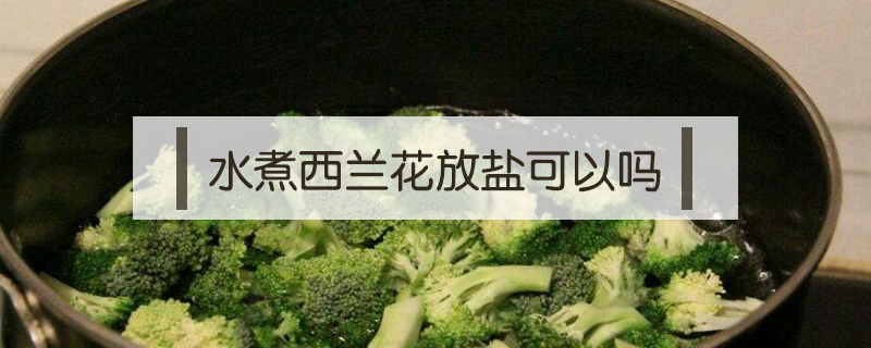 水煮西蘭花放鹽可以嗎