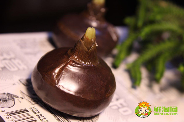 如何煮荸薺,荸薺和什么不能一起吃