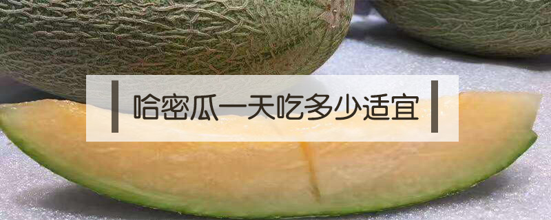 哈密瓜一天吃多少適宜