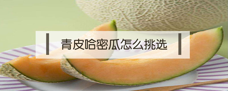 青皮哈密瓜怎么挑選