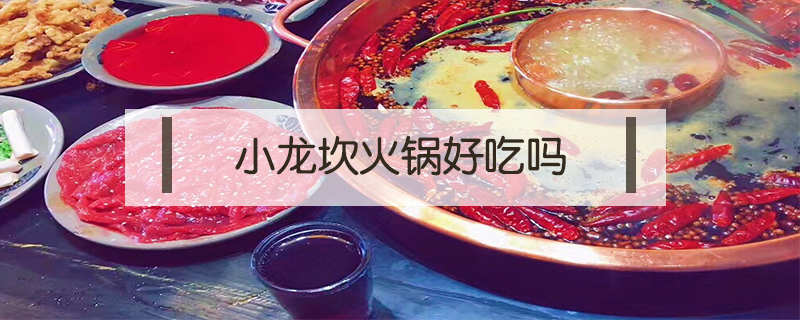 小龍坎火鍋好吃嗎