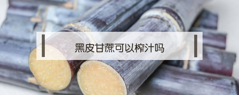 黑皮甘蔗可以榨汁嗎