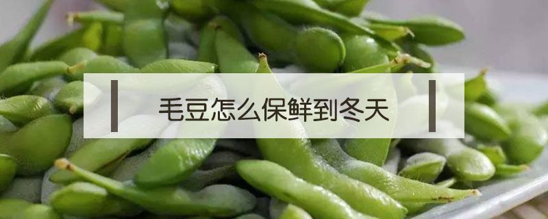 毛豆怎么保鮮到冬天