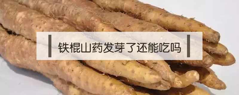 鐵棍山藥發芽了還能吃嗎