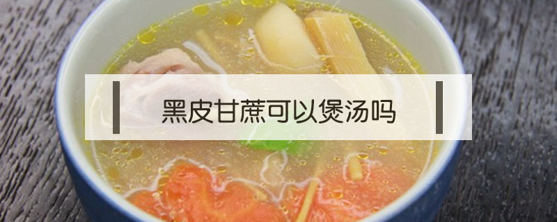 黑皮甘蔗可以煲湯嗎