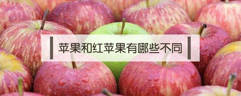 青蘋果和紅蘋果有什么區別