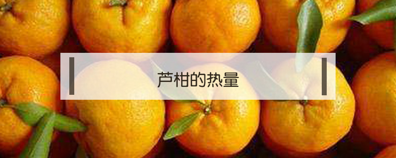蘆柑的熱量