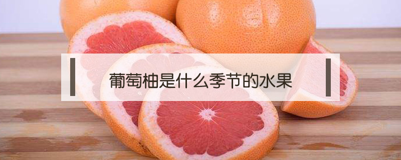 葡萄柚是什么季節的水果