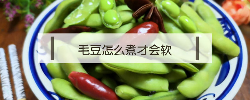 毛豆怎么煮才會軟