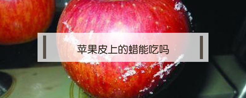 蘋果皮上的蠟能吃嗎