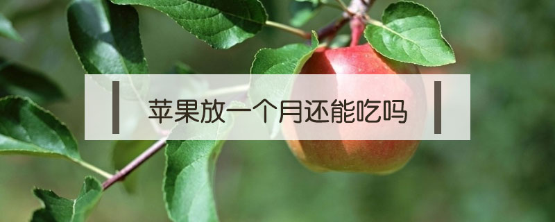蘋果放一個(gè)月還能吃嗎