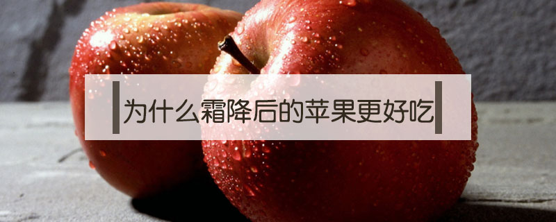 為什么霜降后的蘋果更好吃