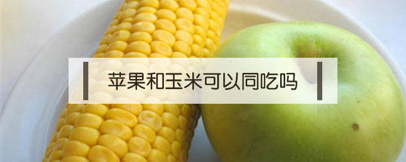 蘋果和玉米可以同吃嗎