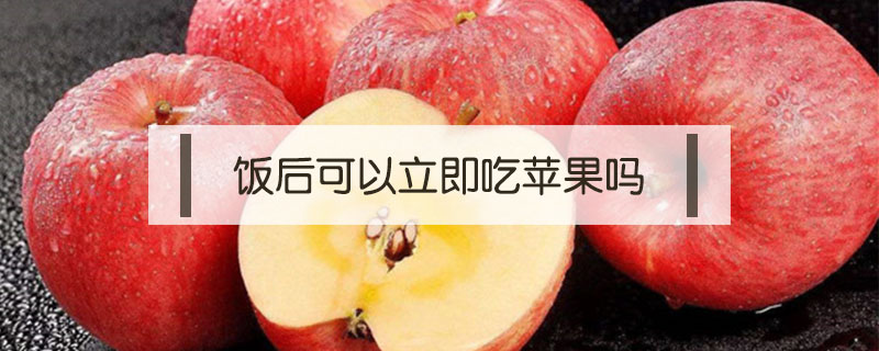 飯后可以立即吃蘋果嗎