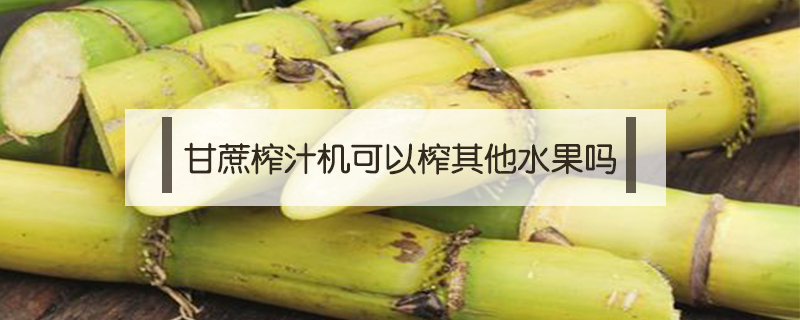 甘蔗榨汁機可以榨其他水果嗎