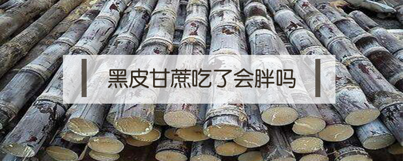 黑皮甘蔗吃了會胖嗎