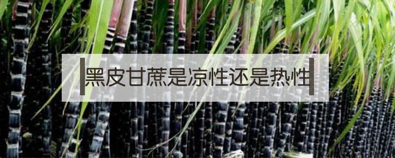 黑皮甘蔗是涼性還是熱性