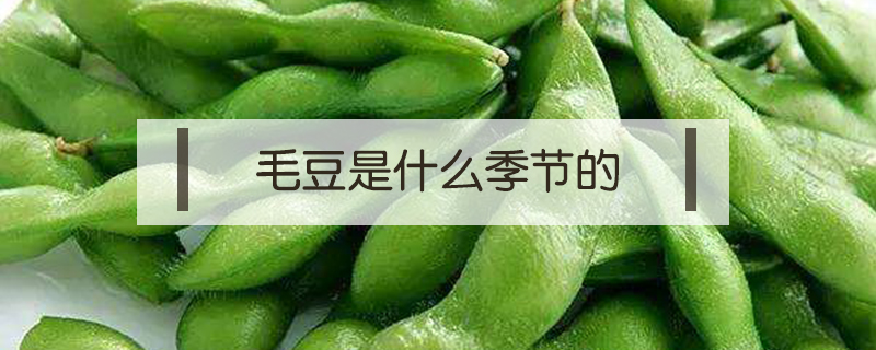 毛豆是什么季節(jié)的