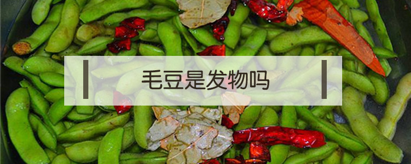 毛豆是發物嗎