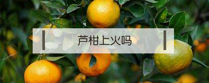 蘆柑上火嗎