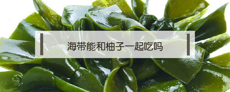海帶能和柚子一起吃嗎