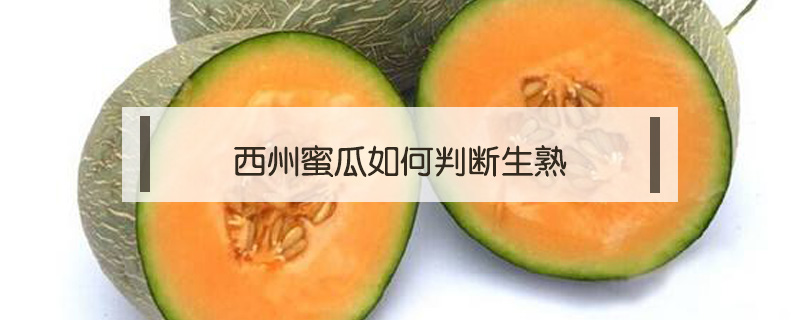 西州蜜瓜如何判斷生熟